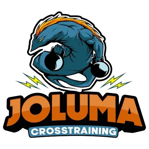 IMG-LOGO